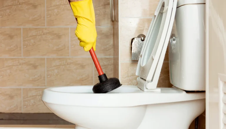 Desentupindo vaso sanitário com fezes