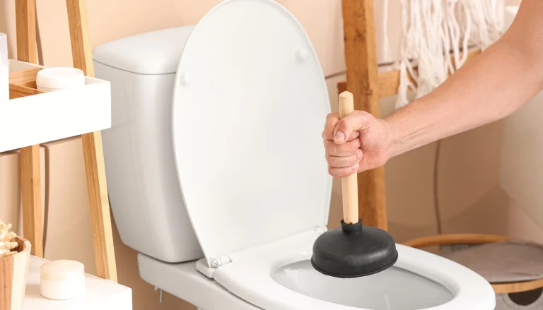 Como desentupir vaso sanitário com fezes e papel higienico